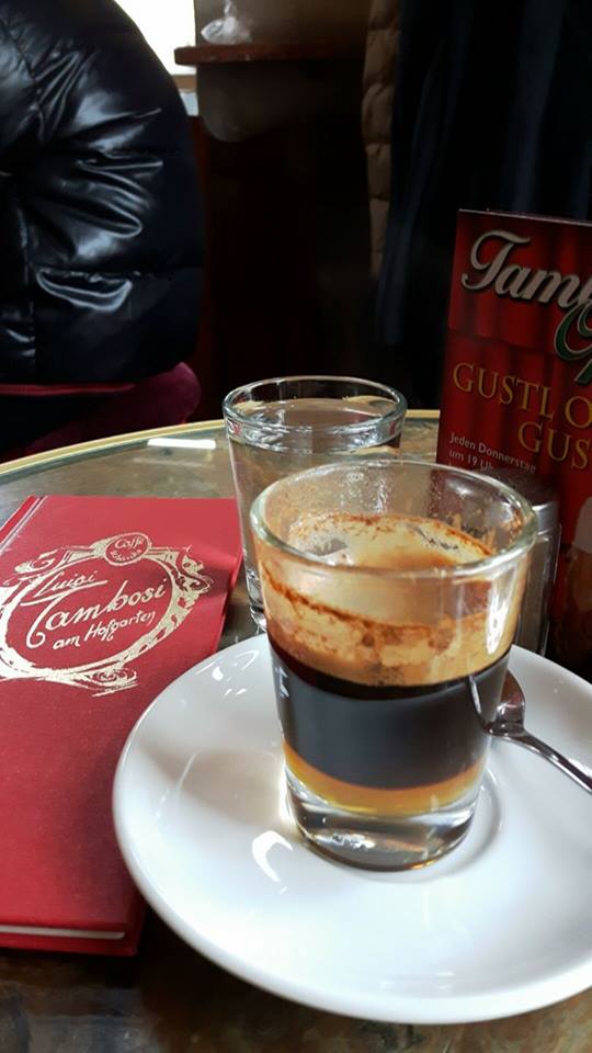 15665381_1411265038886733_3657310109006309565_n