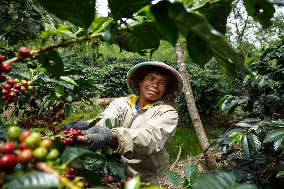 faitrade_pressefoto_kaffee_6_Nathalie Bertrams