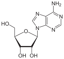 275px-Adenosin.svg