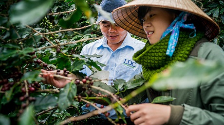 JDE_blog-coffee-project-PG01 - KLEIN