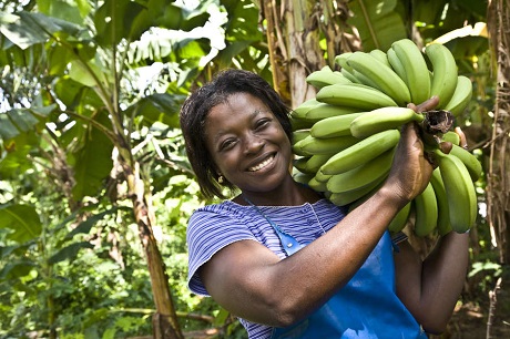 csm_fairtrade_pressefoto_bananen__10__0b6168c2e0.jpg