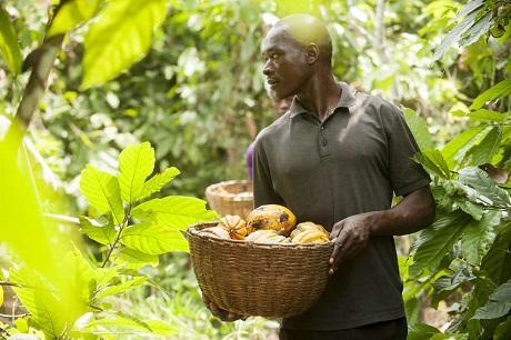 csm_fairtrade_pressefoto_kakao__7__e6c78bf7ac