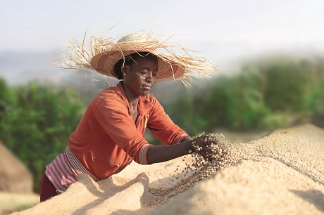 19_06_03_Bio-KaffeeUrsprungsbild - KLEIN