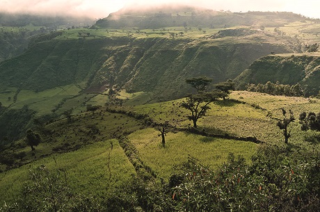 In the Simien Valley, Ethiopia