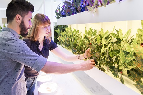 KaffeeKlimaregal_Deutsches Museum_Christian Illing - KLEIN