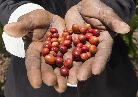 Einladung zur Pressekonferenz auf der BIOFACH in Nürnberg