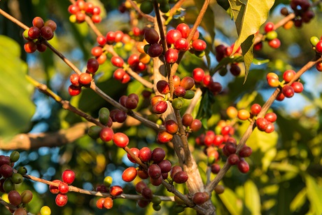 20151113_MPKTansaniaBild2