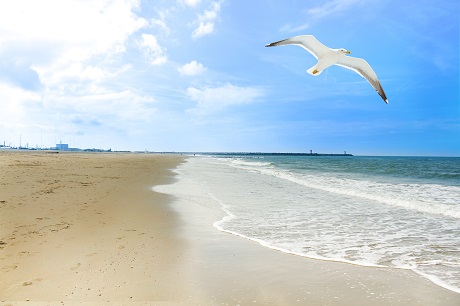 711406_original_R_by_Christian heinze_pixelio.de