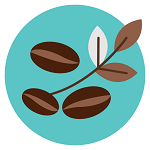 iconfinder-coffee10-3535182_113875